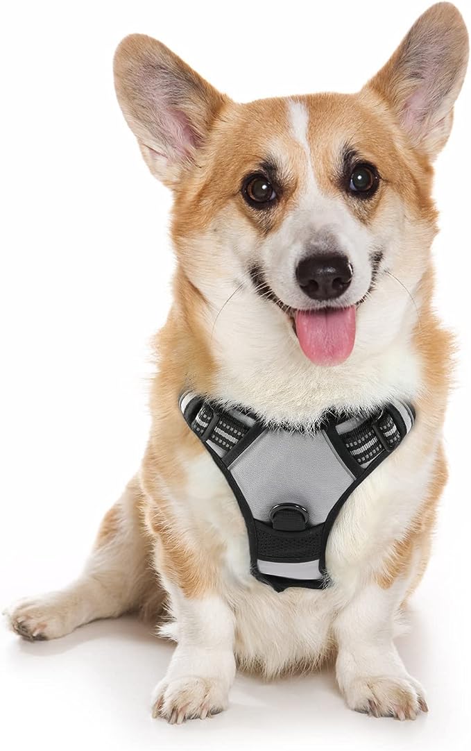 Dog Easy Control Handle Harness