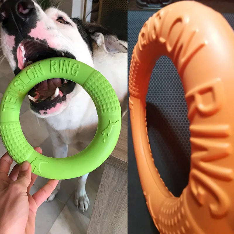 Dogs EVA Interactive Training Ring