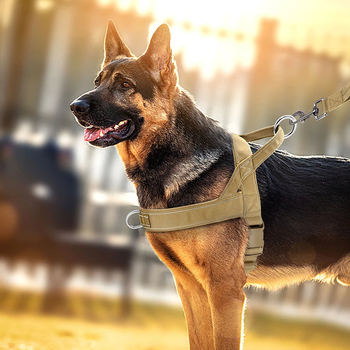 Dog Training Durable Harnesses Vest