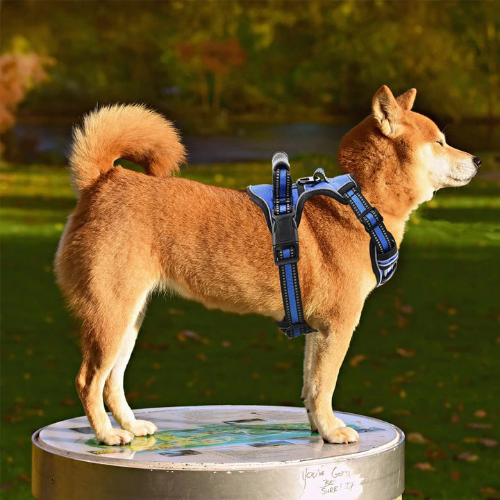 Dog Breathable Reflective Harness Vest