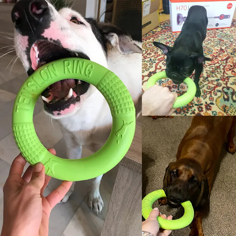 Dogs EVA Interactive Training Ring