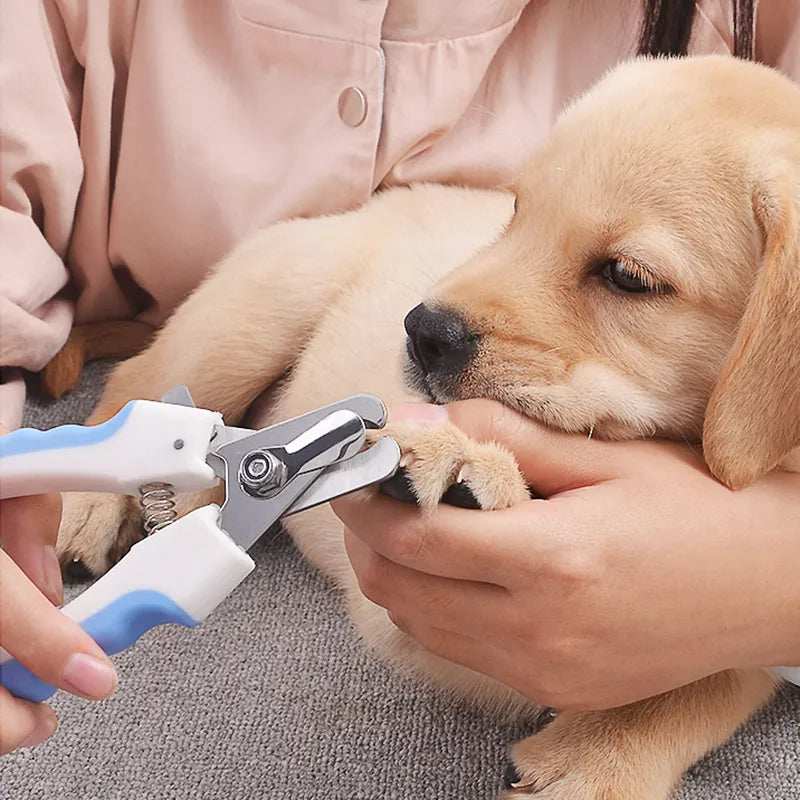 Pet Nail Clipper Scissors Pet Dog Nail Toe Claw