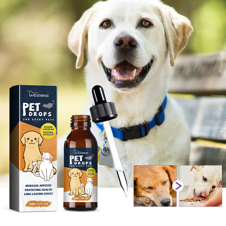 Pet Gastrointestinal Care Nutrition Supplement