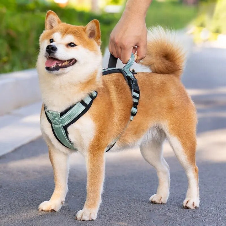 Pull Puppy Dog Harness