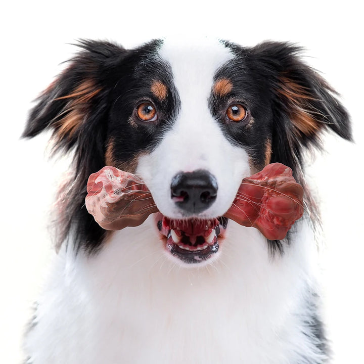 Dog Treat Dispensing Chewing Toy