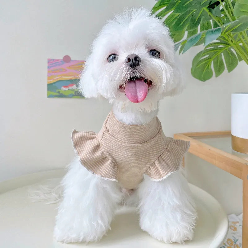 Dog  Velvet Soft Clothes