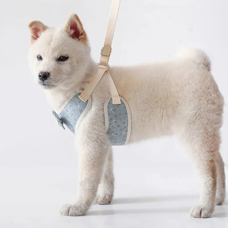 Cheaper Chihuahua Puppy Dog Vest Harness Leash