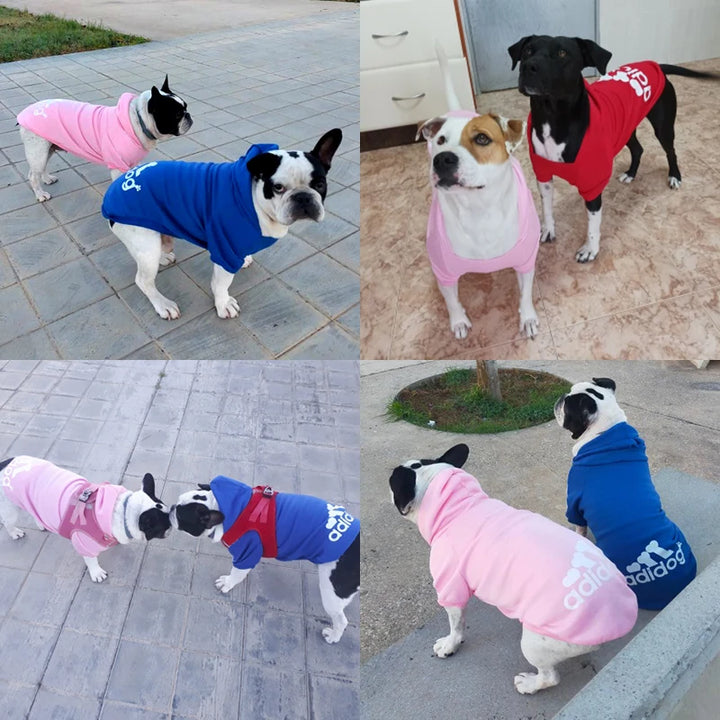 Dog Winter Warm Large Hoodie