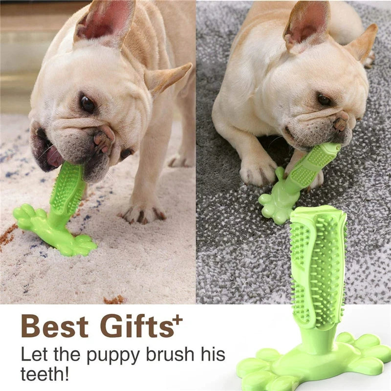 Cactus Dog Interactive Rubber Chew Toy