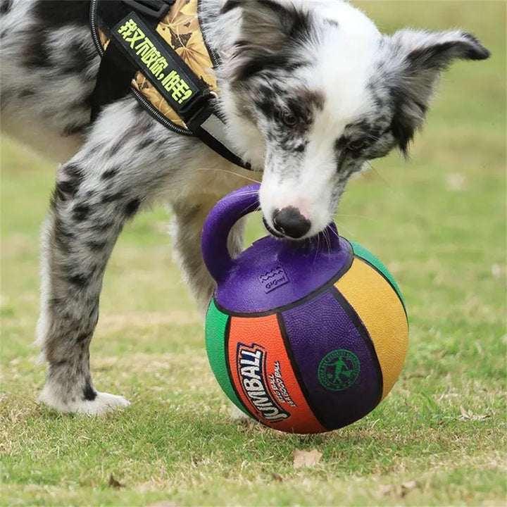 Bite-Resistant Rubber Elastic Dog Toy