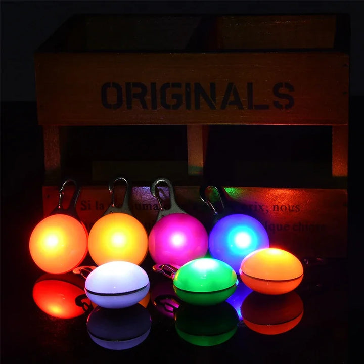 LED Luminous Dog Collar Pendant Light