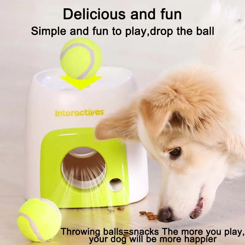  Food Toy Dog Tennis Food Reward