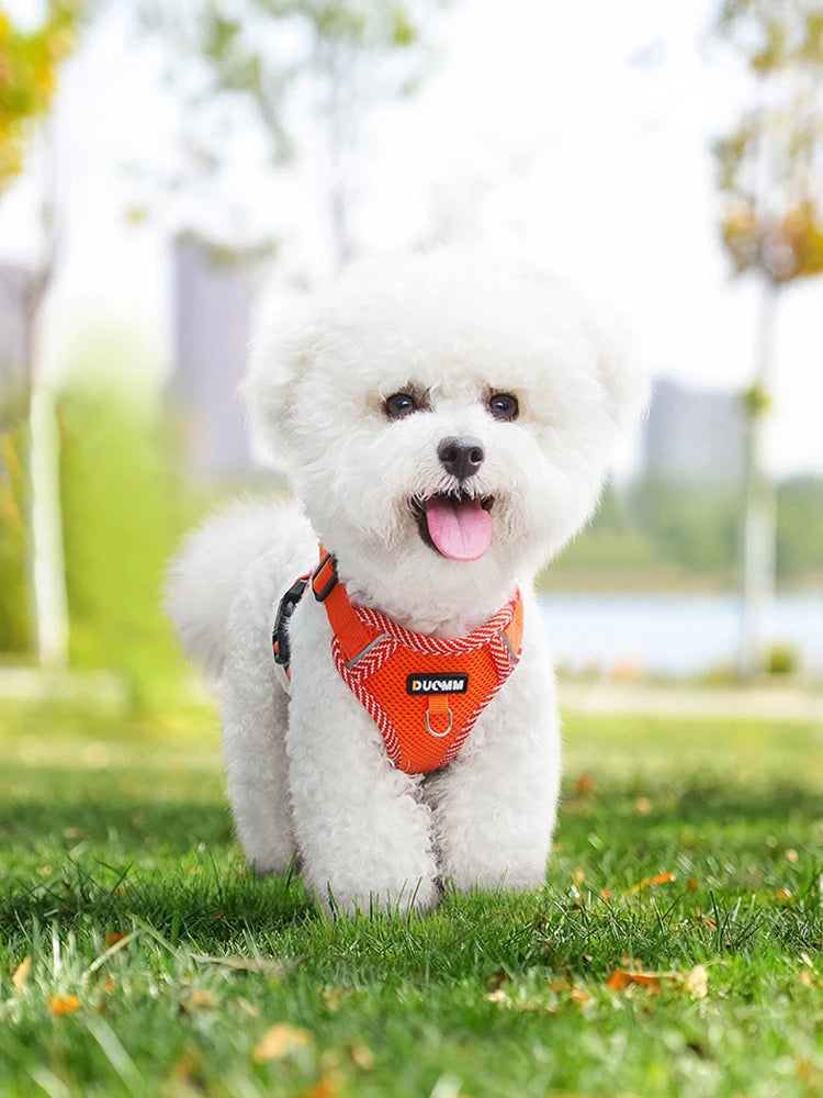 Puppy Adjustment Chest Strap Vest