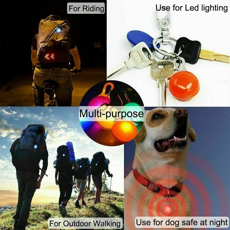 LED Luminous Dog Collar Pendant Light