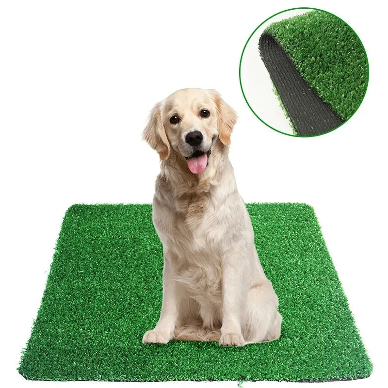 Dog Toilet Training Pee Pad