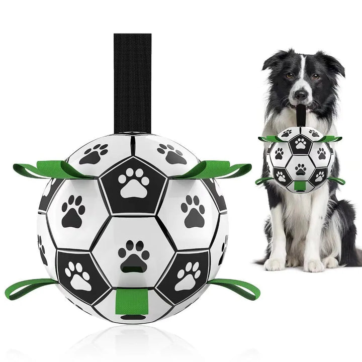 Dog Interactive Football Toy