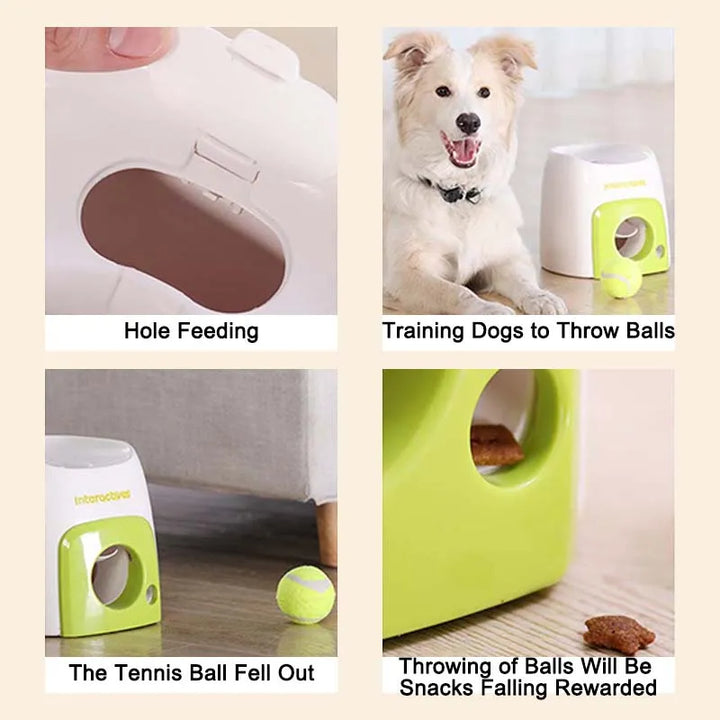  Food Toy Dog Tennis Food Reward