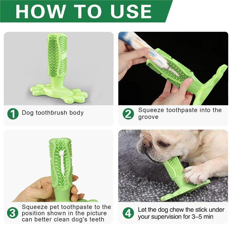 Cactus Dog Interactive Rubber Chew Toy