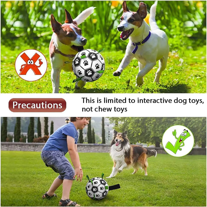 Interactive Dog Football Toy for Dogs