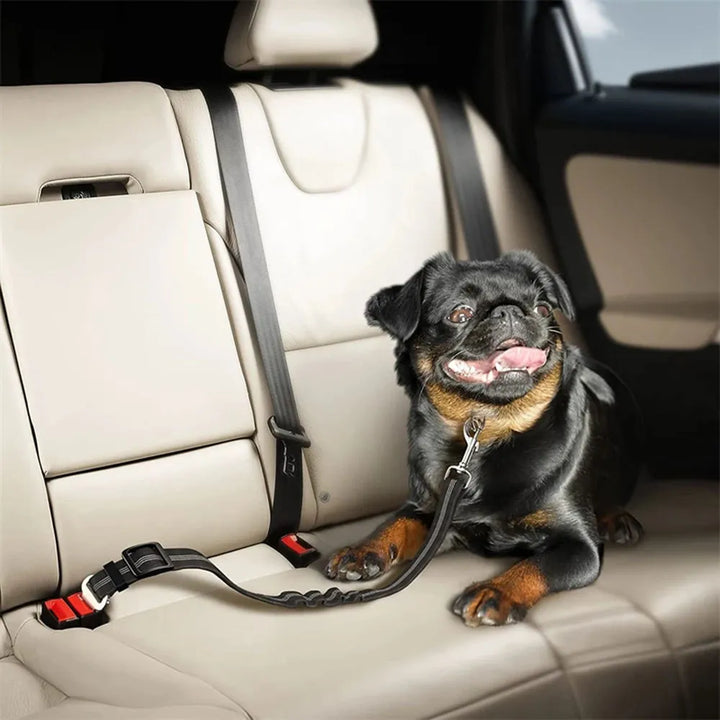 Dog Reflective Car Seat Belt