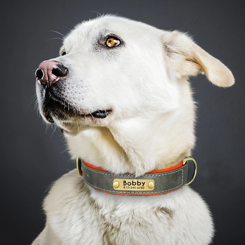 Dog Custom ID Name Leather Collar