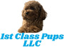 1st Class Pups LLC 
